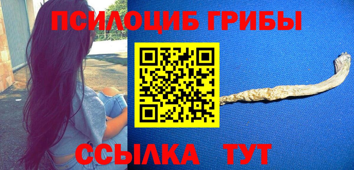 Галлюциногенные грибы Cubensis  Вход с VPN  Якутск 